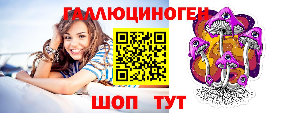 Псилоцибиновые грибы Cubensis Чебоксары