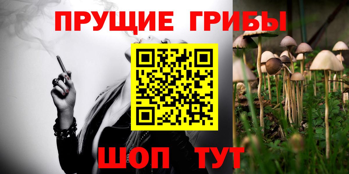 Галлюциногенные грибы Psilocybe  как найти закладки  Вход с VPN  Чебоксары  Галлюциногенные грибы Psilocybine cubensis 