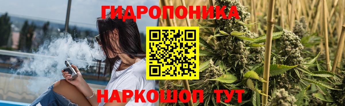 Конопля план  Бошки марихуана White Widow  Вход с VPN  Чебоксары 